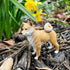 3" 3+ Safari Ltd. Shiba Inu Figurine - Lifelike Plastic Dog Figure - Fun Educational Toy for Boys, Girls & Kids Ages