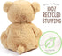 BenBen 12 Inch Teddy Bear for Girlfriend - Funny Plush Bear Toy Gift with Pineapple for Women