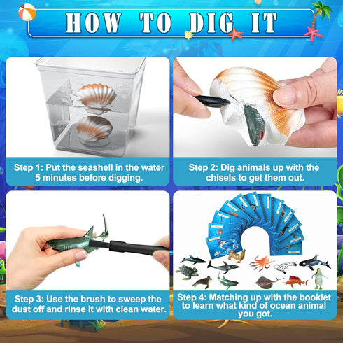 Set Ocean Animals Dig Kit - Educational Seashell Excavation for Kids