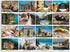 Vacation Cats 1500 Piece Puzzle: Galison, Features Cats in Famous Locations, Great Gift for Cat Lovers