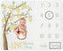 Sweet Jojo Designs Lemon Floral Girl Milestone Blanket Monthly Newborn First Year