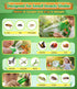 3-12, Bug Catcher for Kids Bug Vacuum Bugs Catching Release Kit, Magnifying Glass Bug Collector Butterfly Net Bugs