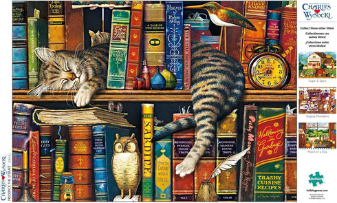 Buffalo Games - Charles Wysocki - Frederick The Literate - 300 Piece Jigsaw Puzzle for Adults, Finished Size 21.25 x
