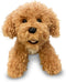 Super Soft Plush Dog Toy, Labrador Puppy, Cream Color, 13 Inches, Great