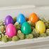 Viaecone 6 Pack 6 Inch 6 Jumbo Easter Eggs, Large Fillable Plastic Easter Eggs in Bright Colors, Big Empty Surprise