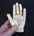 Palmistry Hand Model Resin Sculpture for Fortune Telling with Booklet