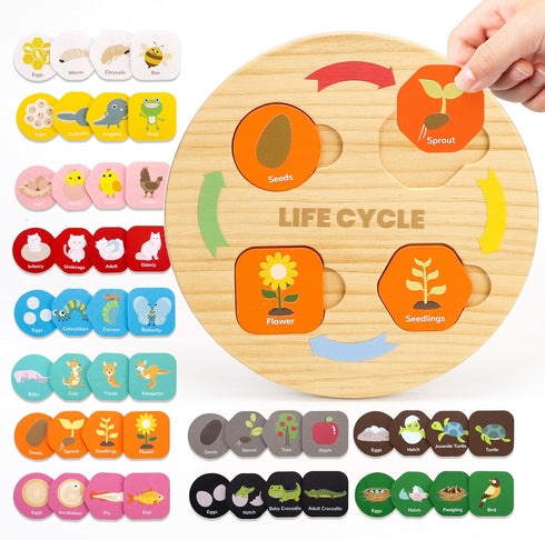 Life Cycle Toys for Kids, 12 Themes Montessori Preschool Science Center Materials, Educational Toys for Age 3-6