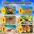 GobiDex Sea Life Amber Dig Kit, Educational STEM Activities for Kids Age 6-12, Dig Up 6 Real Shellfish
