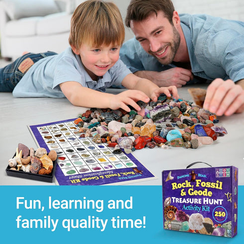 (250 Set) DANCING BEAR Rock, Mineral & Geodes Treasure Hunt Activity Kit Pc Real Shark Teeth Fossils, ID Sheet & Rock