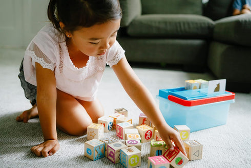 Chuckle & Roar Learning Blocks: Alphabet Blocks & Flashcards, Educational Activity for Preschoolers, Storage Bin