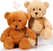 Wettarn 2 Pack Plush Teddy Bear Stuffed Animal 18 Inch Cuddly Stuffed