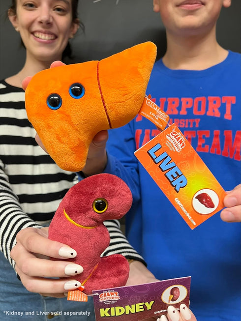 GIANTmicrobes Stuffed Liver Plush, Anatomical Liver Stuffed Animal, Hepatologist Gift