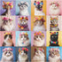 Cat Puzzles for Adults 1000 Pieces, Colorful Flower Crowns Cute Animal Puzzles, Funny Kitty Kitten Jigsaw Puzzle as Cat Wall Decor