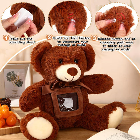 14 Inch Remembrance Bear Plush Stuffed Animal with Recorder, Soft Doll Toy with Picture Frame (Dark Brown)