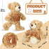Bear with Voice Recording Remembrance Stuffed Animal with Picture Recordable Messages Memorial Toy for Baby Shower Birthday Gift, Recording Gifts(Brown, 12 Inch)