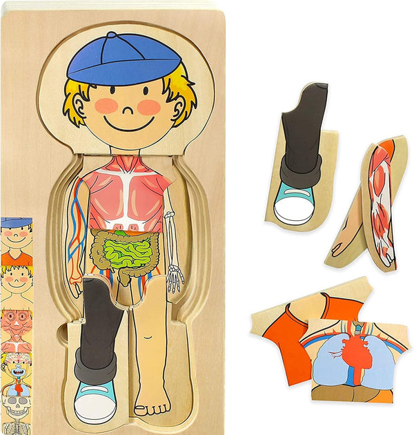 Kidzlane Boy Wooden My Body Puzzle, 29 Piece Boys Anatomy Puzzle for Kids Ages 3+