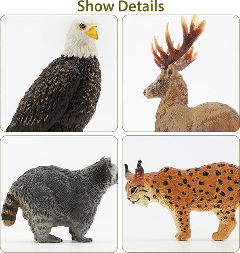12PCS Set Toymany North American Forest Animal Figurines, Realistic Jungle Zoo Animal Includes