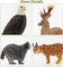 12PCS Set Toymany North American Forest Animal Figurines, Realistic Jungle Zoo Animal Includes