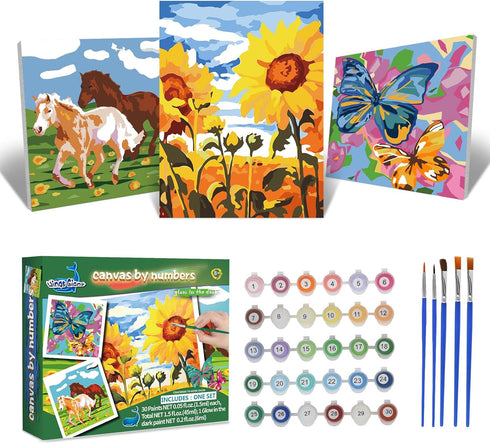 Wings Giant Paint by Numbers Kit for Kids, Flower Crafts and Fun,