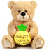 BenBen 12 Inch Teddy Bear for Girlfriend - Funny Plush Bear Toy Gift with Pineapple for Women