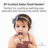 Forage Feeder, Soothing Silicone Frozen Baby Food Teething Toy, Pacifier Fruit Feeder and Teether, BPA, PVC and Phthalate Free - Bloom