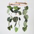 Goukurlsma Green Leaf Mobile for Crib Mobile Forest Baby Mobile Monstera Plant Crib Mobile