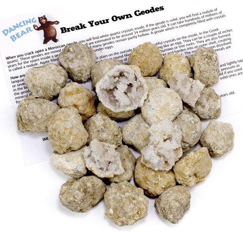 DANCING BEAR 25 Break Your Own Geodes – Medium 1-1.5", 90% Hollow, Educational Info & Instructions Included