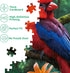 1000 26.63 19.25 BenBen Piece Jigsaw Puzzle for Adults, Jungle Parrots, Puzzles with Letters or Patterns on Back