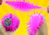 Googly Puffer Ball Rubber Stretchy Spike Ball (2 Units Assorted), Soft Squishy Fidget Toy for Kids & Adults