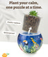 3D Puzzle Planter 80 Pieces - Flower Pot for Bird of Paradise, Home Decor for Indoor Cactus and Succulents