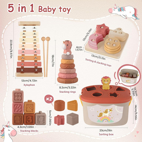 6-12 6-12-18 6+ FEBALHS Montessori Toys for Months, Baby Toys Months with Montessori Baby Blocks Toy, Shape Sorting