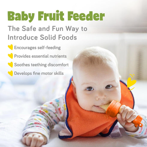 Giraffe Baby Fruit Pacifier Feeder 2 Pack - Perfect for Introducing Solid Foods 6-12 Months - Ashtonbee