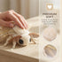 ZHONGXIN MADE 11in, Silk Moth Plush Toy - Lifelike Silk Moth Stuffed Animals Realistic Soft Big Wings Moth Toys