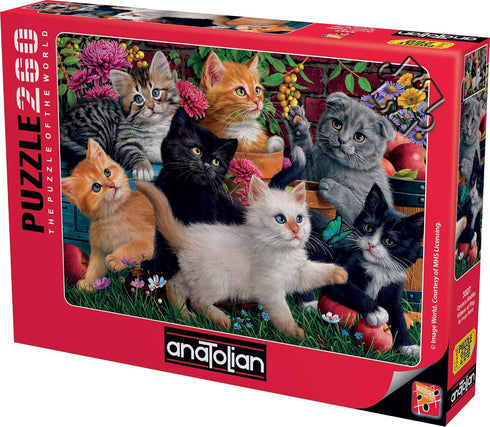 Anatolian Puzzle - Kittens at Play - 260 Piece Jigsaw Puzzle, 3327 (ANA3327)