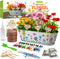 PLANTMEW Paint & Plant Flower Growing Kit for Kids - Fun Kids