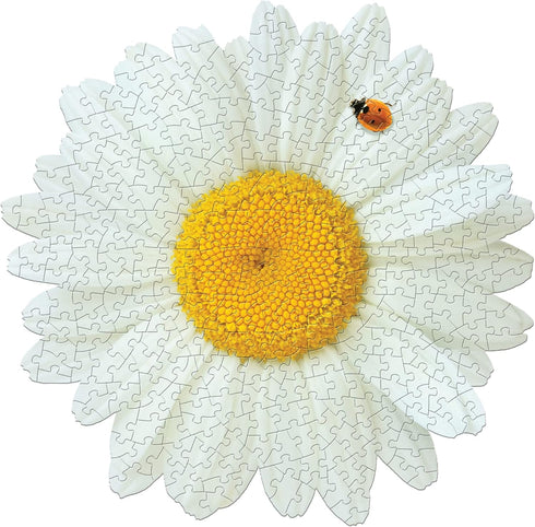 Madd Capp: I AM Daisy - 350 Piece Jigsaw Puzzle - Floral Shaped Puzzle, 23x23 Finished Size, Includes Fun Fact Sheet