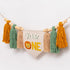 1st Wild One High Chair Banner - Lion Highchair Banner, Safari Animal Theme First Birthday Tassel Banner for Birthday