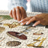 Vintage Mushroom Puzzle 1000 Pieces for Adult, Vintage Fungi Jigsaw Puzzle of Edible Mushrooms