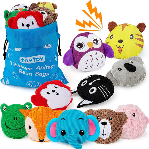 teytoy Sensory Bean Bag for Kids 10 Pack,Texture Sensory Beanbags,Sensory Toys for