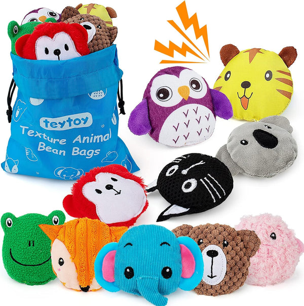 teytoy Sensory Bean Bag for Kids 10 Pack,Texture Sensory Beanbags,Sensory Toys for
