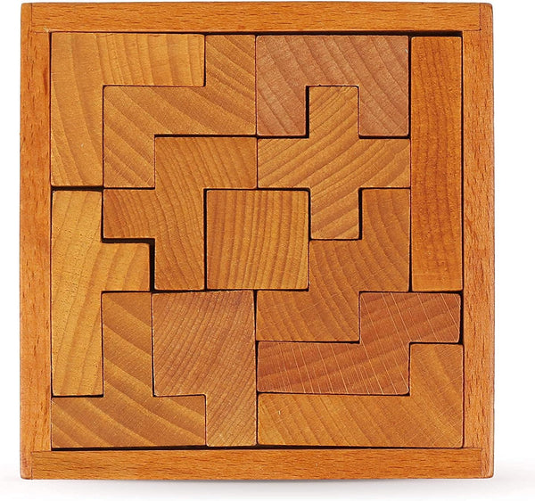 Wooden Brain Teaser Puzzles for Kids and Adults, New Level of Challenge for Mental Workout