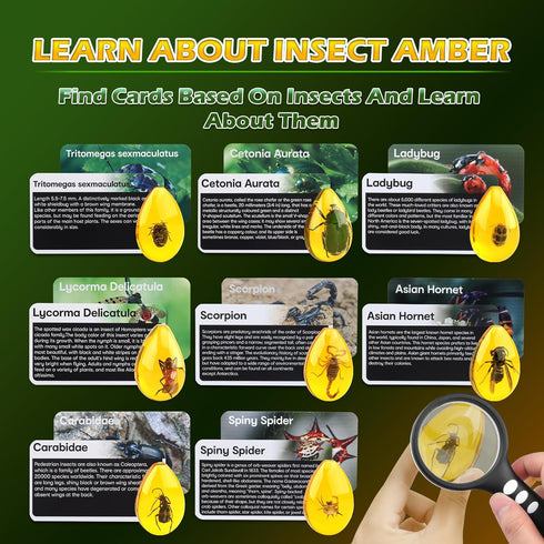 Amber Dig Kit - Insects in Resin, 8 Insects Specimens Excavation Kit for Kids Birthday Gifts