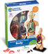 Learning Resources Human Body Model, Science Classroom Demonstration Tools, Realistic Human Anatomy