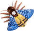 FRANKIEZHOU Simulation Death's Head Hawk Moth Stuffed Animal, Blue 25" Lifelike Plush Toy for Kids