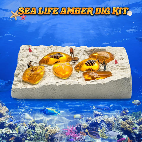 GobiDex Sea Life Amber Dig Kit, Educational STEM Activities for Kids Age 6-12, Dig Up 6 Real Shellfish
