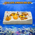 GobiDex Sea Life Amber Dig Kit, Educational STEM Activities for Kids Age 6-12, Dig Up 6 Real Shellfish