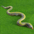 FUTUREPLUSX Inflatable Fake Snake, 3PCS Blow Up Pool Snake Floats for Reptile Jungle Party Decorations