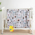 Baby Blanket for Boys Girls, Super Soft, Fluffy Warm Lightweight, 30 * 40inch, Fox