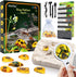GobiDex Amber Dig Kit, Excavate 6 Insects Specimens, STEM Geographic Educational Bugs Toys for Kids Age 6-12