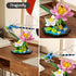 itshWOee Set,855 Ideas Insect Collection Building PCS Butterfly Dragonfly Bee Display Models for Botanicals Flowers